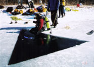 Ice Diving